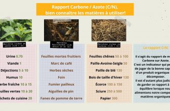 Le Rapport Carbone/Azote (C/N) ou comment nourrir son composteur ?