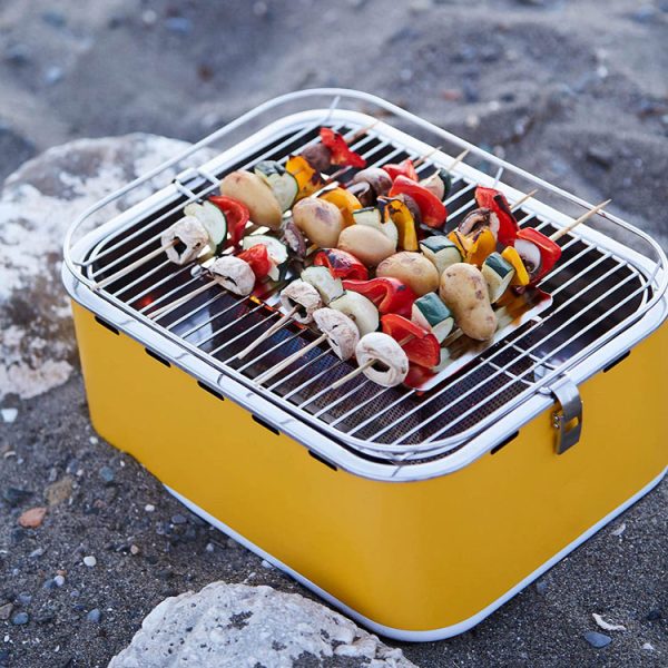 avis-barbecook-carlo-test-barbecue-camping-charbon-bois